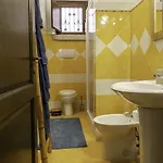 Amsicora 8