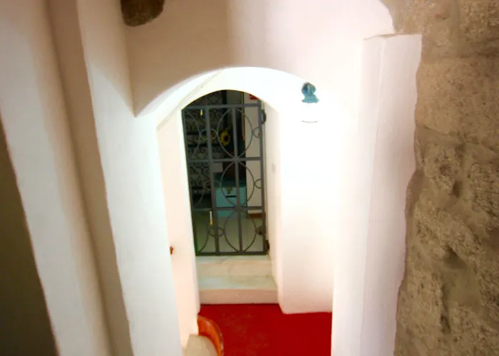 Amsicora 8 オルビア