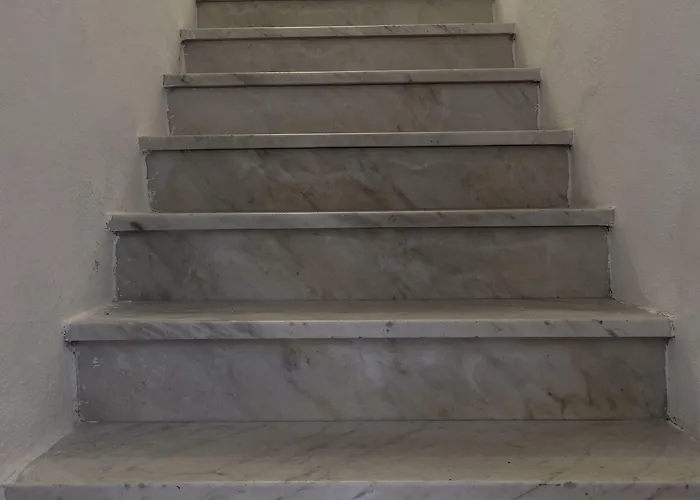 Amsicora 8 オルビア